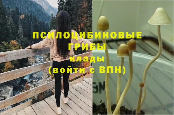 гашиш Елизово