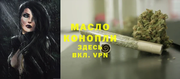 индика Елабуга