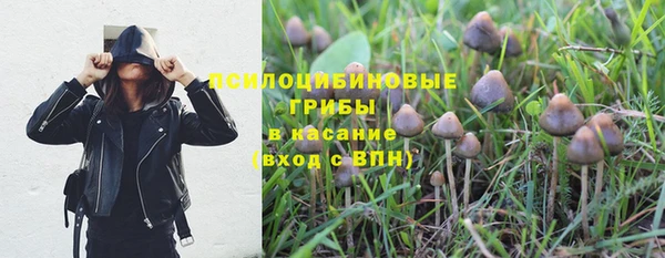 Альфа ПВП Дмитров