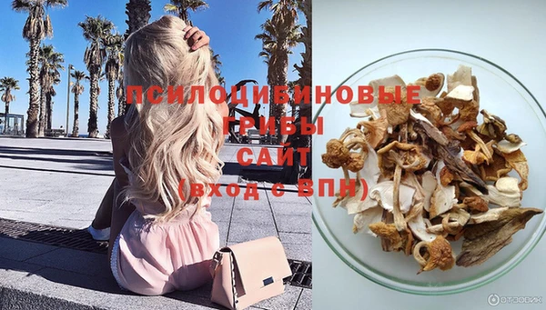Альфа ПВП Дмитров