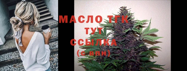 индика Елабуга